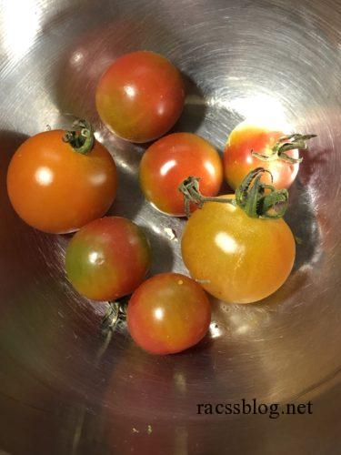 青いミニトマトを赤くする方法 Racssblog