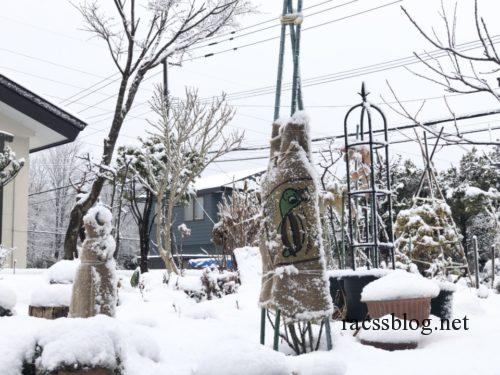 北海道の冬の庭