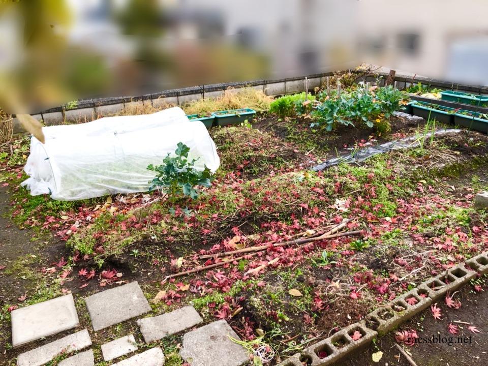 11月の家庭菜園 片付けと冬囲い 21北海道 Racssblog 11月の家庭菜園 片付けと冬囲い 21北海道 Racssblog