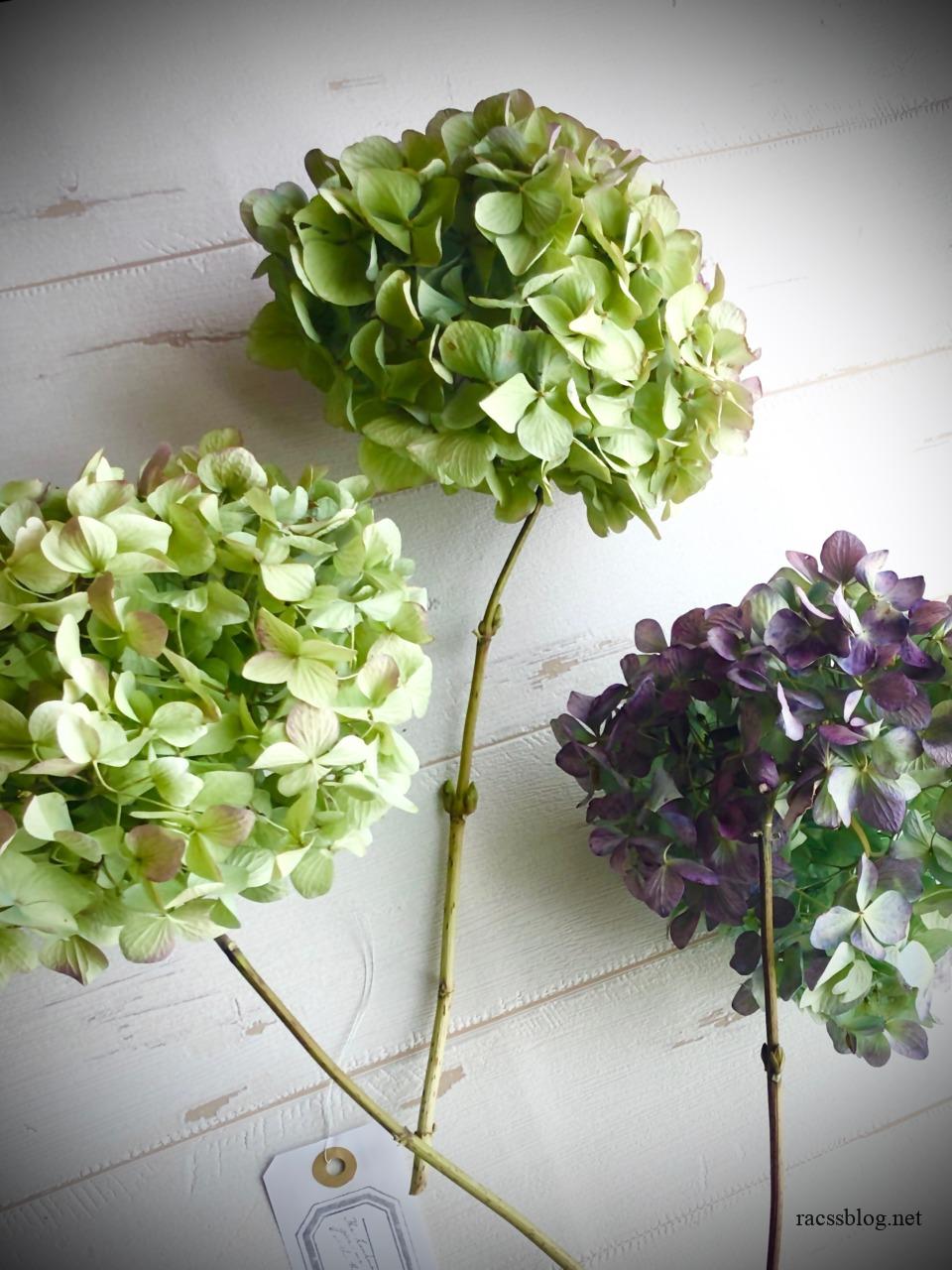 秋色紫陽花のドライフラワー販売中｜racsshandmade | racssblog